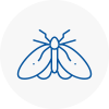 Moth Control Specialists In Northwood